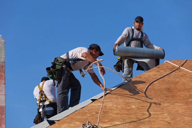 Best Local Roofing Companies  in Sparta, MI