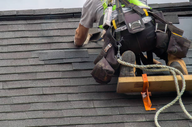 Best Roof Gutter Cleaning  in Sparta, MI
