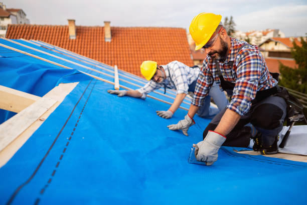 Roof Waterproofing Services in Sparta, MI