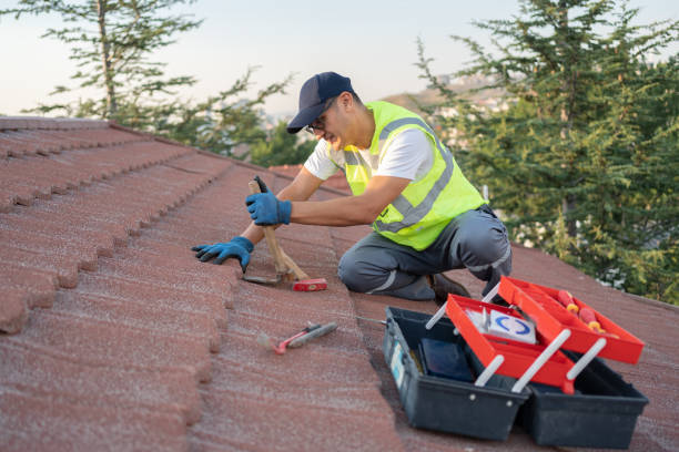 Best New Roof Installation  in Sparta, MI