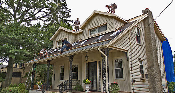 Best Metal Roofing Contractor  in Sparta, MI