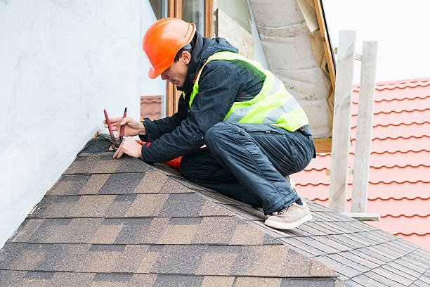 Best Roof Maintenance Services  in Sparta, MI